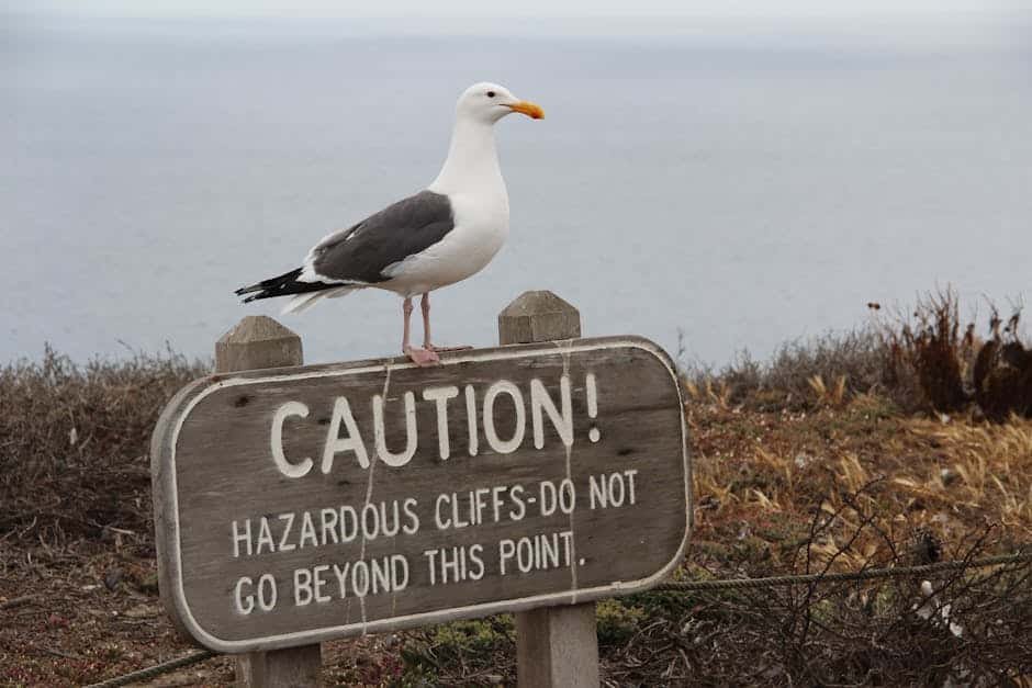 IPTV: Risks & Rewards in the USA (2025)